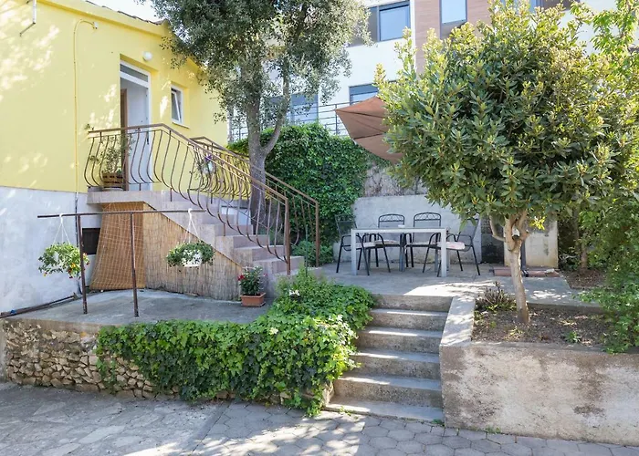 Marija * 돈제페트레케인